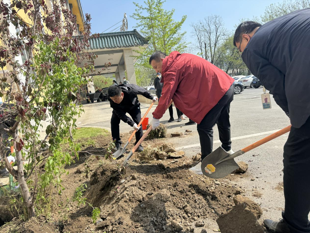 植树造林添新绿，共创秀美钢都景